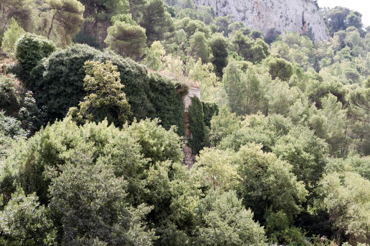 Casa Degli Avi Don Neli, Immersa Nella Natura موديكا المظهر الخارجي الصورة
