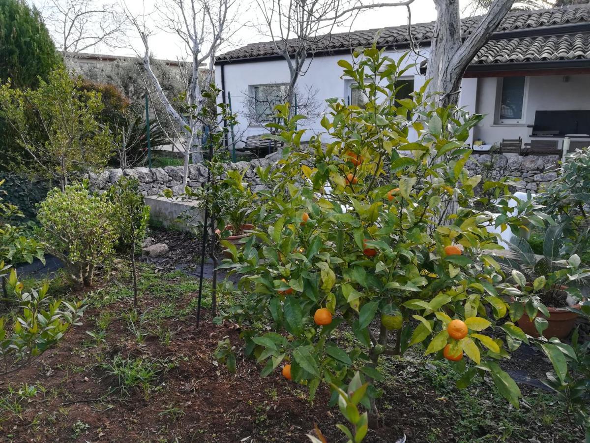 Casa Degli Avi Don Neli, Immersa Nella Natura موديكا المظهر الخارجي الصورة
